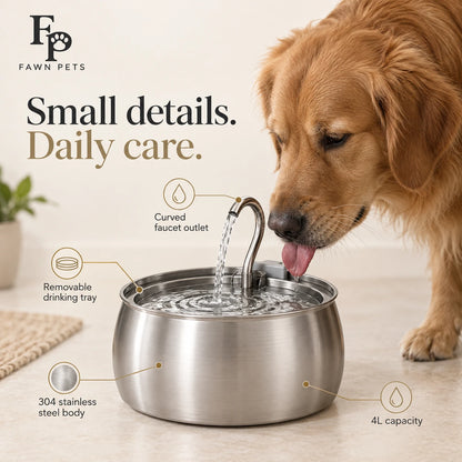 Stainless Steel Pet Water Fountain | 4L